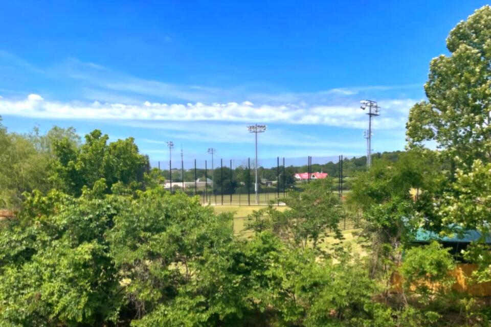 Fayetteville - chain link - 1000024894