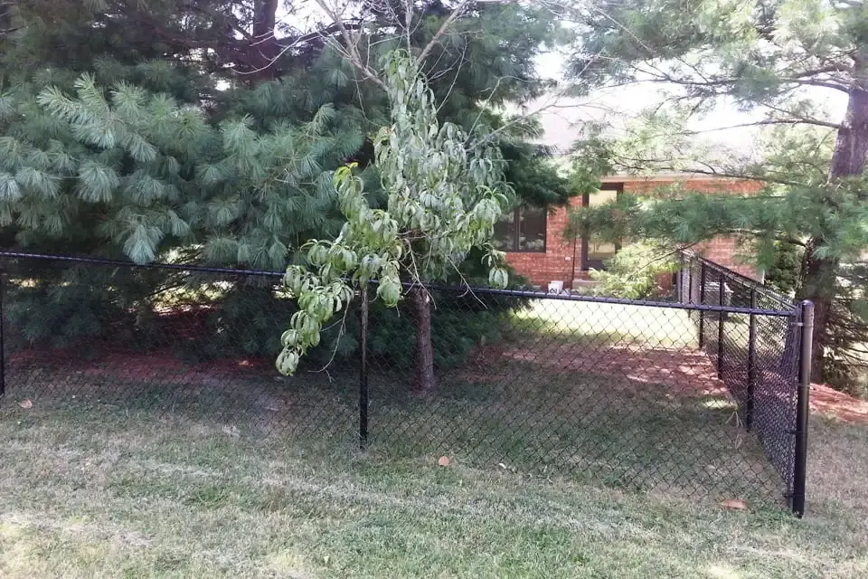 black vinyl chain fence